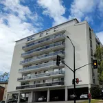 Rent 1 bedroom apartment in Kingston