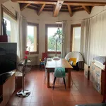 Penthouse via Gorizia 17, Centro, Thiene