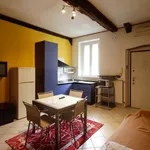 Rent 1 bedroom apartment of 45 m² in turin