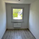 Rent 4 bedroom apartment of 70 m² in Chemnitz