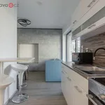 Rent 1 bedroom apartment of 23 m² in Trhový Štěpánov