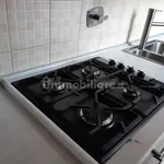 Rent 3 bedroom apartment of 65 m² in Turin