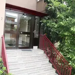 Rent 4 bedroom apartment of 110 m² in Segrate