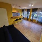 Rent 2 bedroom apartment of 52 m² in St Etienne