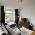 Rent 3 bedroom apartment of 81 m² in Hoofddorppleinbuurt