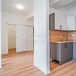 Rent 3 bedroom apartment of 69 m² in Ostrava