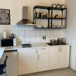 Rent 1 bedroom apartment of 26 m² in Turin