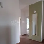 Rent 4 bedroom apartment of 86 m² in Pisa