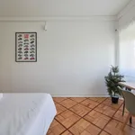 Rent 7 bedroom apartment in Lisbon