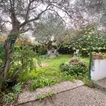 Rent 3 bedroom house of 151 m² in Messina