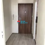 Rent 1 bedroom apartment of 31 m² in Orlová