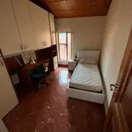 Rent 4 bedroom apartment of 90 m² in Bologna