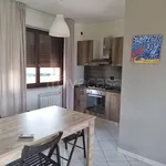 Rent 3 bedroom apartment of 65 m² in Verona