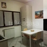 Affitto 1 camera appartamento di 45 m² in Cerveteri