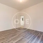 Rent 3 bedroom apartment of 65 m² in Rome