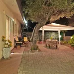 Rent 3 bedroom house of 70 m² in Seravezza