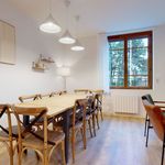 Rent 3 bedroom apartment of 13 m² in Lyon