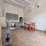 Rent 2 bedroom apartment of 45 m² in Naples