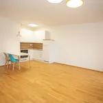 Rent 1 bedroom apartment of 47 m² in Prague