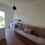 Rent 1 bedroom apartment of 50 m² in Rzeszów