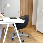 Rent 1 bedroom apartment of 12 m² in Hürth