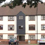 Rent 1 bedroom apartment in East Of England