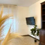 Rent 3 bedroom apartment of 100 m² in Bergamo