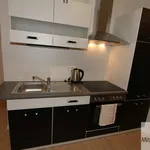 Rent 1 bedroom apartment of 46 m² in Nuremberg