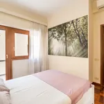 Rent 2 bedroom apartment of 70 m² in Rome