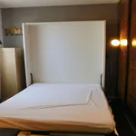  appartement avec 1 chambre(s) en location à Lautrec