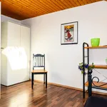 Rent 4 bedroom apartment of 100 m² in Bonn