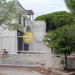 Rent 4 bedroom house of 230 m² in Municipal Unit of Opountioi