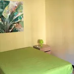 Rent a room in coimbra