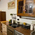 Rent 2 bedroom apartment of 55 m² in Pontedera