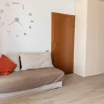 Rent 1 bedroom apartment in rome