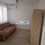 Rent 1 bedroom house of 35 m² in Popești-Leordeni