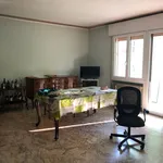 Rent 3 bedroom apartment of 120 m² in Padova