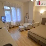 Rent 1 bedroom apartment in Capital City of Prague