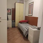 Rent 2 bedroom apartment of 35 m² in Roma