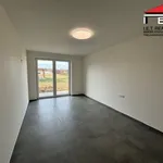 Rent 1 bedroom house of 122 m² in Frýdek-Místek