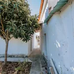 Rent 2 bedroom house of 90 m² in Ourém