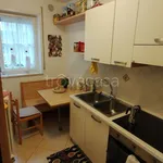 Rent 3 bedroom apartment of 65 m² in Bolzano