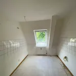 Rent 4 bedroom apartment of 70 m² in Duisburg