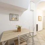 Rent 2 bedroom apartment of 50 m² in Firenze