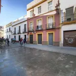 Rent 1 bedroom apartment of 50 m² in seville