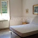 Rent 3 bedroom apartment of 80 m² in Roma