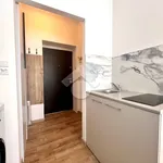 Rent 1 bedroom apartment of 15 m² in Krakow