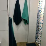 Alquilo 2 dormitorio apartamento de 45 m² en Malaga']