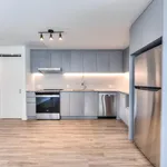  appartement avec 1 chambre(s) en location à Montreal