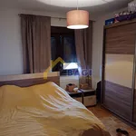 Donji Desinec stan za radnike, stan/apartman, površina 110m2, za najam